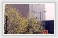  1  Holiday Inn Rotterdam